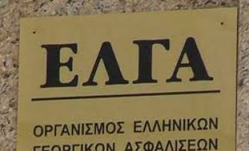 Πορίσματα ΕΛΓΑ για τις ζημιές στον Αντικάλαμο