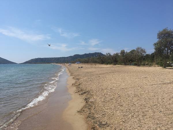 Επένδυση η εφαρμογή του νόμου για τις παραλίες