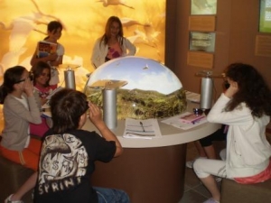 "Γνωρίζω και προβάλλω τη Φύση και την Ιστορία της Μεσσηνίας" στην Costa Navarino