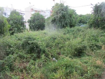 Ακαθάριστο οικόπεδο