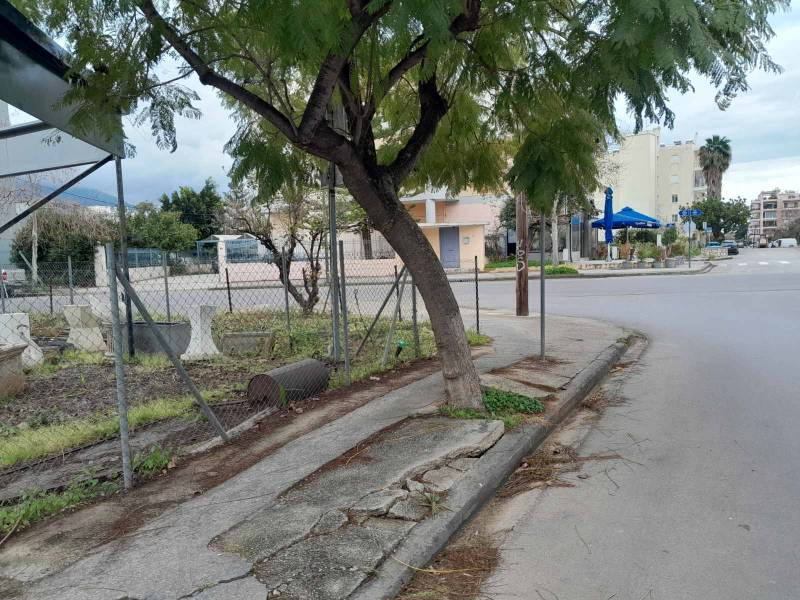 Το δέντρο είναι έτοιμο να πέσει