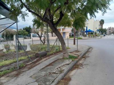 Το δέντρο είναι έτοιμο να πέσει