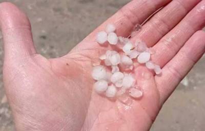 Βελόπουλος για χαλάζι στα Φιλιατρά