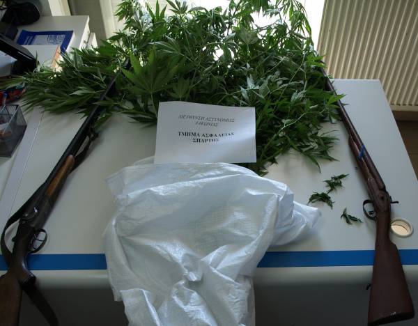 Σύλληψη για χασισόδεντρα και όπλα στα Ανώγεια Σπάρτης