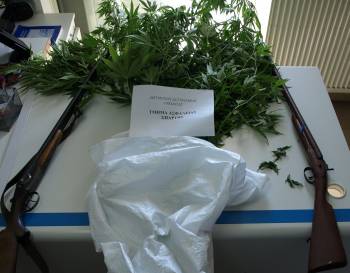 Σύλληψη για χασισόδεντρα και όπλα στα Ανώγεια Σπάρτης