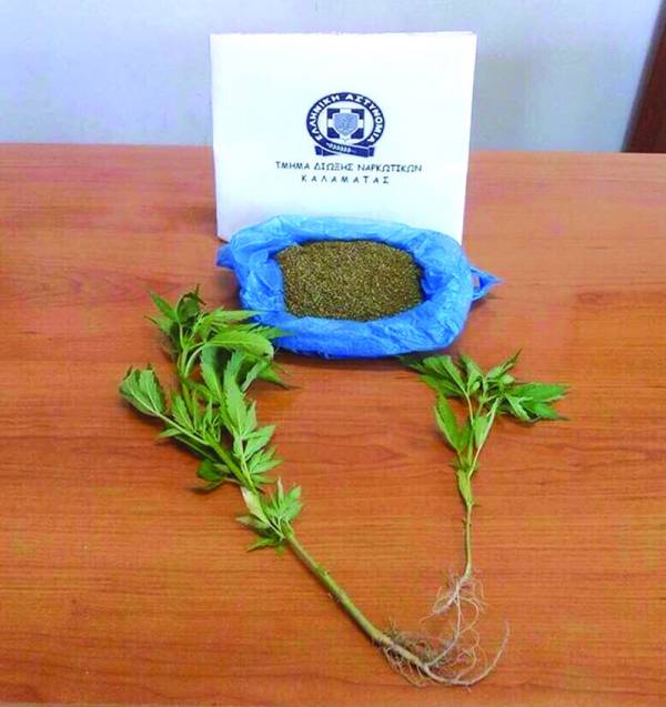 Σύλληψη στην Κορώνη για 145 γρ. χασίς και 2 δενδρύλλια
