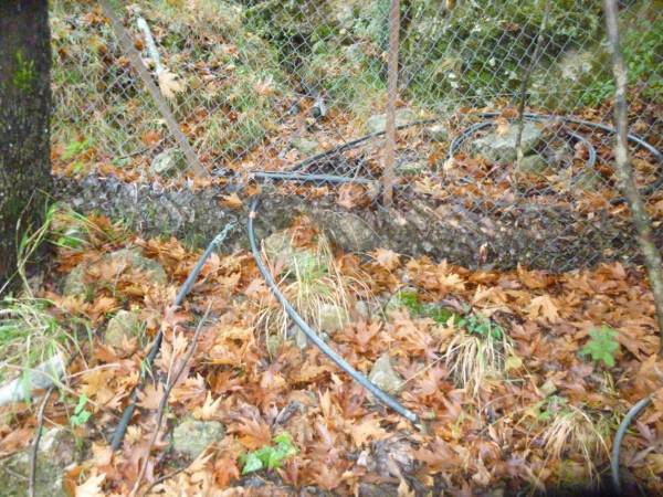 Κλοπή νερού με λάστιχα στη Βέργα (φωτογραφίες)