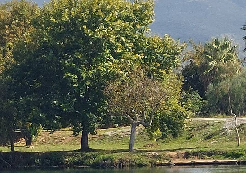 Περιβαλλοντικός περίπατος στον Αμμο