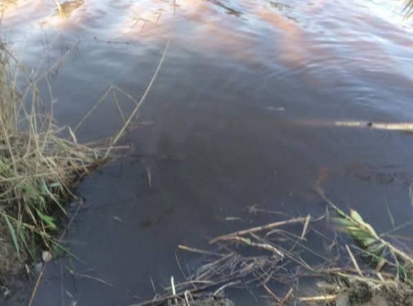 Μαύρισε το ποτάμι