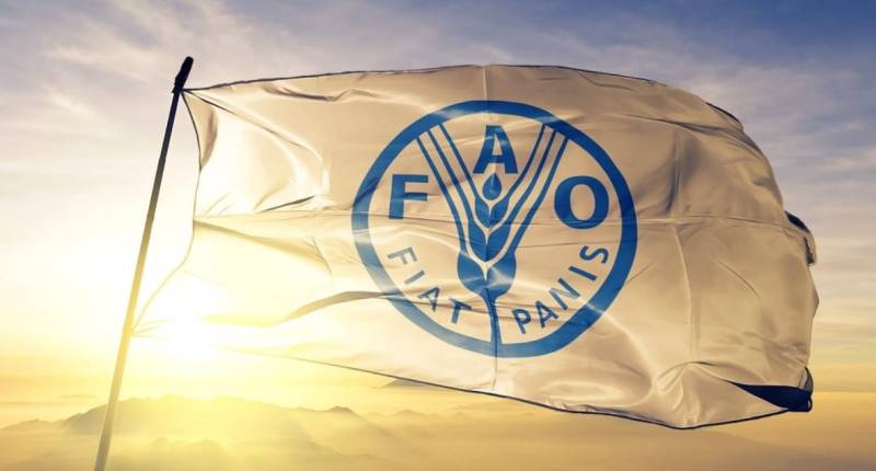 OHE: Προετοιμάστε τα συστήματα τροφίμων για νέα «σοκ»