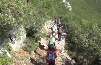 Πεζοπορία στο μονοπάτι της Βελανιδιάς