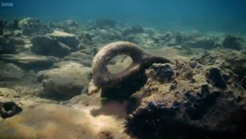 Παυλοπέτρι: "Η πόλη κάτω από τα κύματα" (βίντεο)