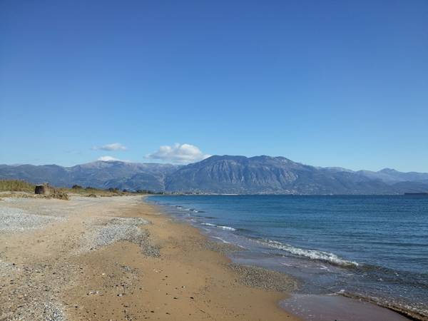 Πόσο κοστίζει το ...αράπικο φιστίκι;