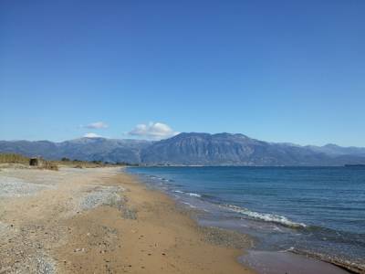 Πόσο κοστίζει το ...αράπικο φιστίκι;