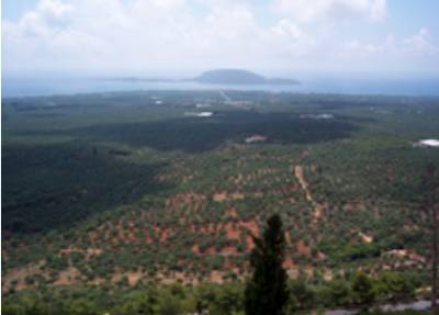 Ο Αγροτικός Σύλλογος Γαργαλιάνων για τους δασικούς χάρτες