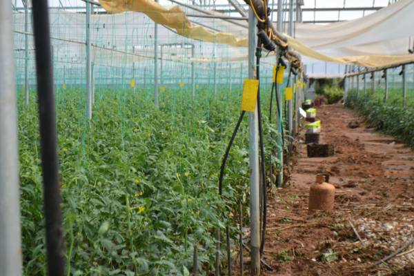 Καθυστερούν αποζημιώσεις και αποκατάσταση στην Τριφυλία δηλώνει ο Κατσίβελας