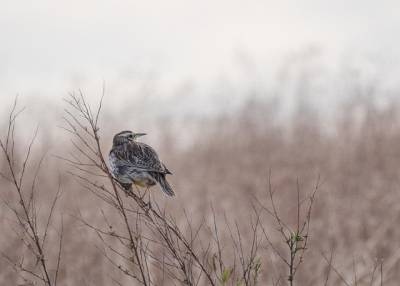 Τι λένε τα ζώδια σήμερα (22/11)