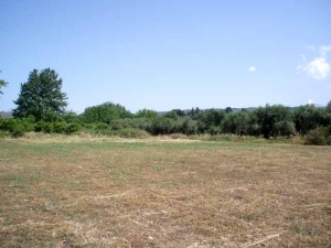 Μικρή η ανταπόκριση στις εκκλήσεις για καθαρισμό οικοπέδων