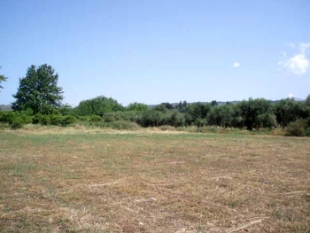 Μικρή η ανταπόκριση στις εκκλήσεις για καθαρισμό οικοπέδων