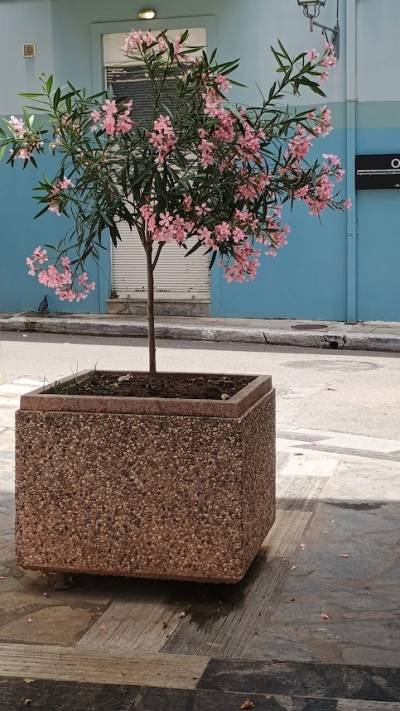 Η Καλαμάτα φοβάται την… προοπτική της