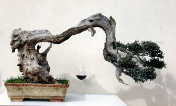 “Τα δένδρα που φέρνουν ... γούρι” στην "Τεχνομυλόπετρα"