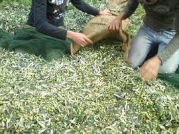 Η αναμέτρηση με την πραγματική οικονομία