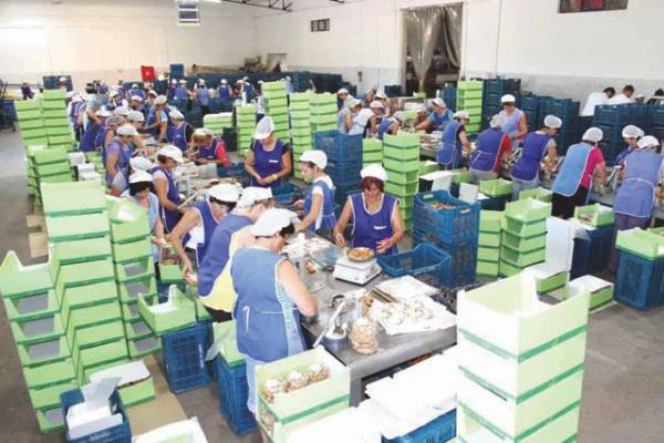 Εγκριση επέκτασης της "Agrexpo SA"