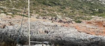 Λακωνία: 111 μετανάστες στη Νεάπολη μετά από διάσωση στον Καβομαλιά (βίντεο)