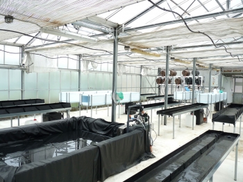 Προηγμένη τεχνολογικά υδροπονική μονάδα στο ΤΕΙ Καλαμάτας