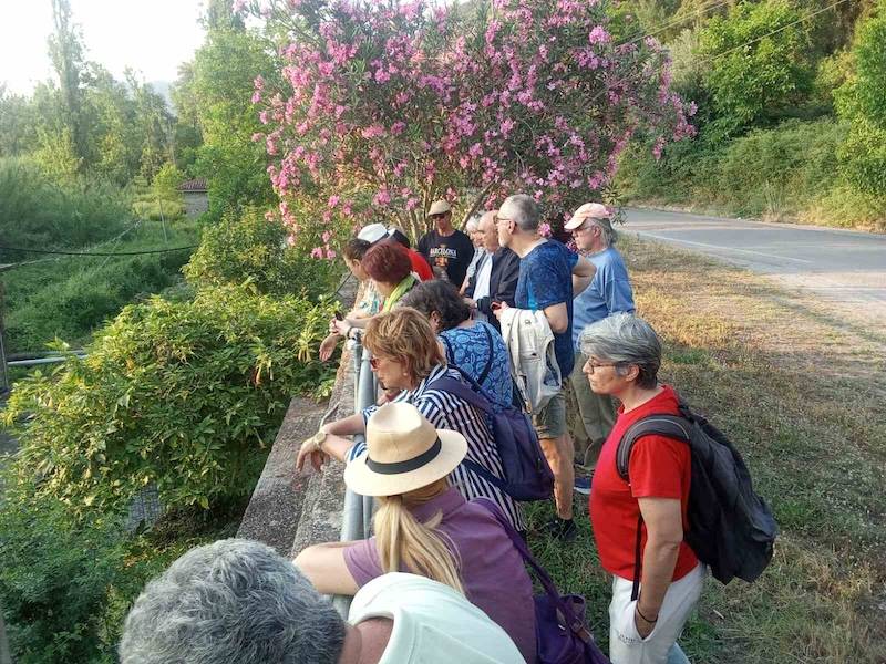 Εξόρμηση στον Αρι