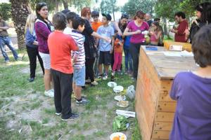 Συνοικιακή κομποστοποίηση στην Καλαμάτα, ένα στοίχημα που πρέπει να κερδηθεί