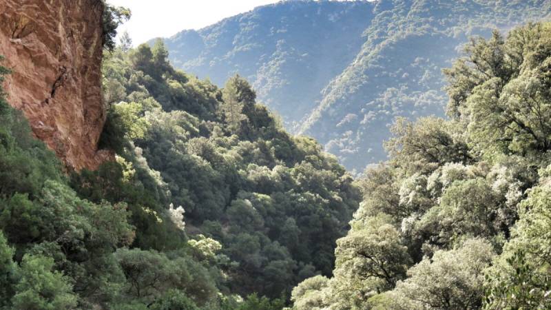 Επιχείρηση διάσωσης Γερμανών πεζοπόρων στη Νέδα που έπεσαν σε χαράδρα