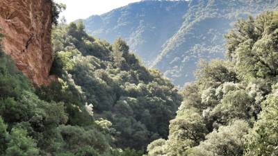 Επιχείρηση διάσωσης Γερμανών πεζοπόρων στη Νέδα που έπεσαν σε χαράδρα