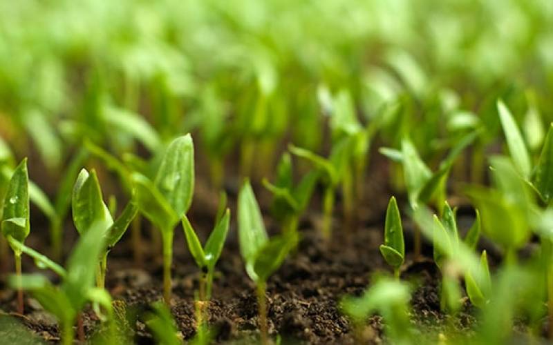 Ενημέρωση και εκπαίδευση ψεκαστών και γεωτεχνικών στα Φιλιατρά