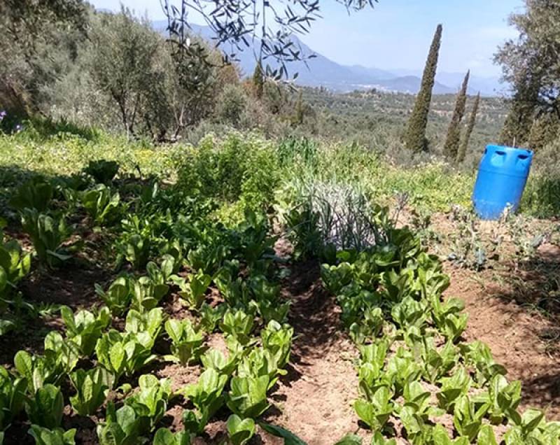 Ο αγώνας δικαιώθηκε