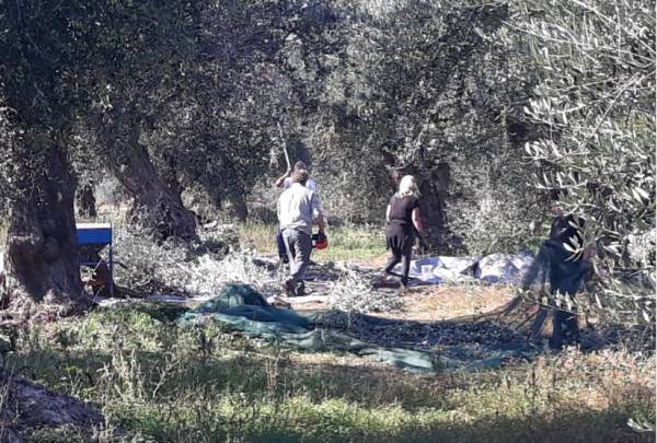 Eπί Τάπητος: Πώς γίνεται να “μην υπάρχουν χέρια”;