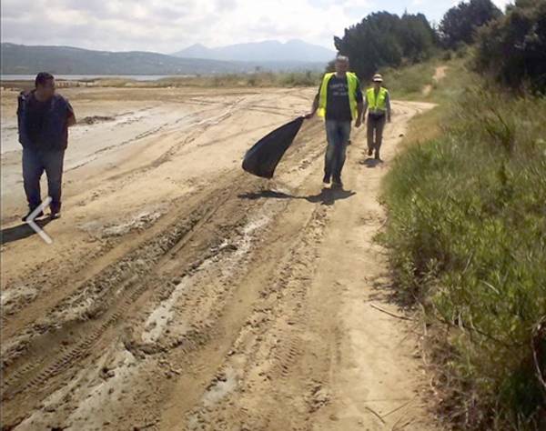 Προστασία των παραλιών