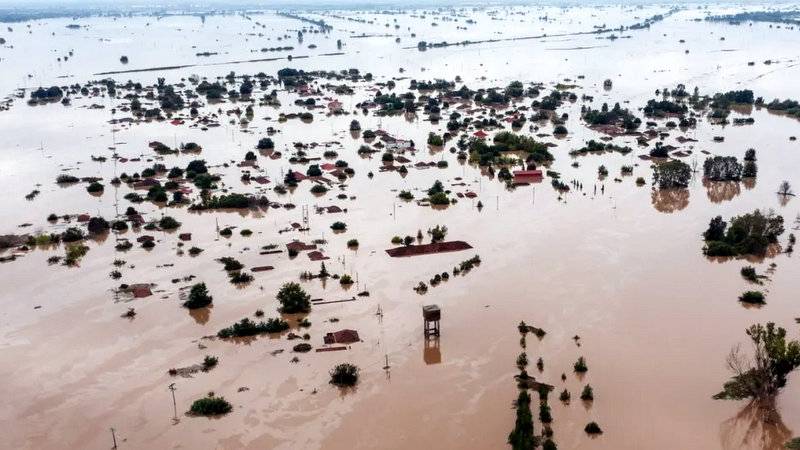 Θεσσαλία: Άταφα παραμένουν ακόμη εκατοντάδες ζώα (Βίντεο)