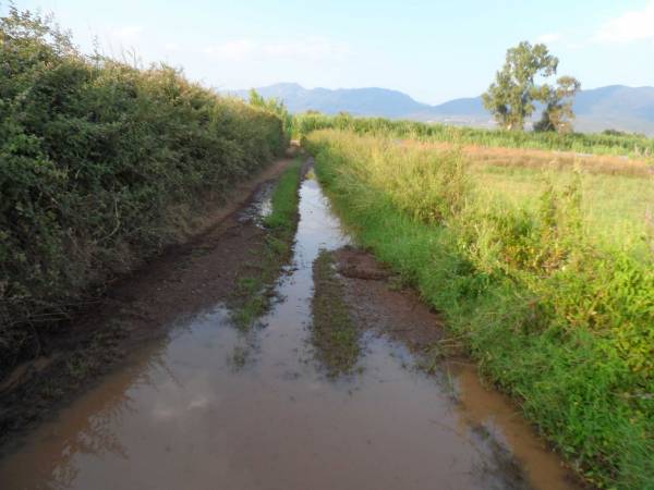Σε άθλια κατάσταση το δίκτυο του ΓΟΕΒ
