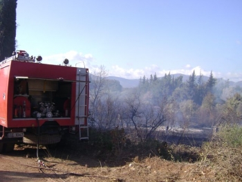 Σε Δώριο και Κοπανάκι οι φωτιές ξεφύτρωναν σαν τα... μανιτάρια