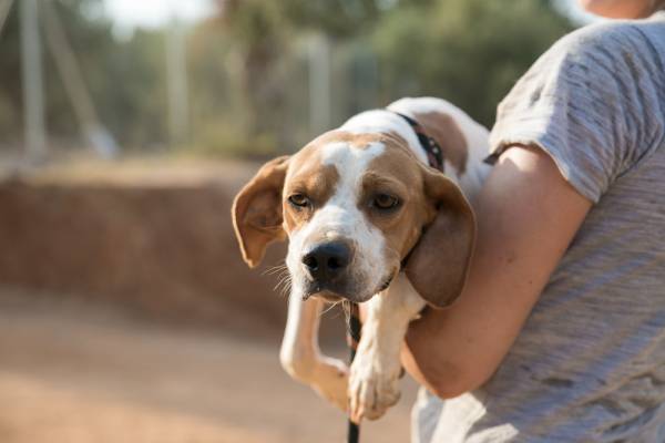 Να βρεθεί χώρος
