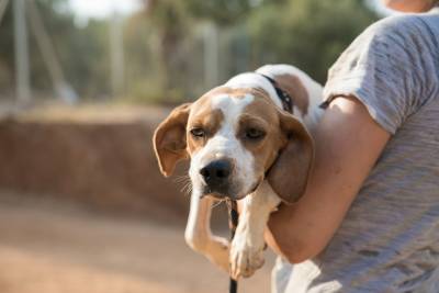 Να βρεθεί χώρος