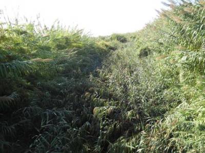 Παράταση στον καθαρισμό Παμίσου και Αρι