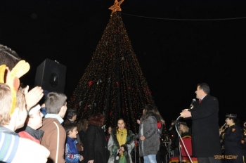 Το χριστουγεννιάτικο δέντρο της Μεσσήνης