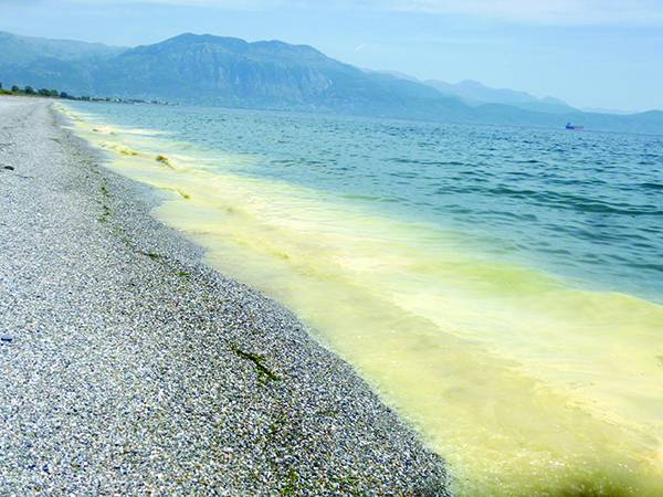 Κιτρίνισε η θάλασσα χθες στον Μπουρνιά (φωτογραφίες &amp; βίντεο)
