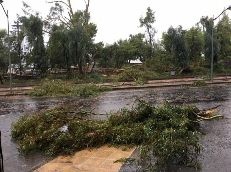 "Ιανός": Σε κατάσταση έκτακτης ανάγκης Μεσσηνία και Αρκαδία