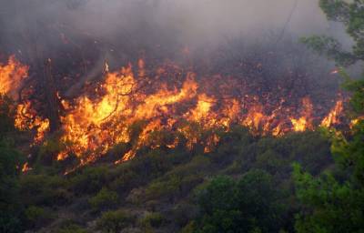 Υψηλός κίνδυνος πυρκαγιάς στη Μεσσηνία