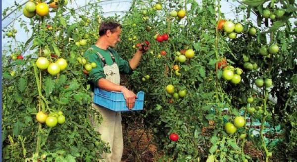 Ημερίδα της Ενωσης Νέων Αγροτών Λακωνίας