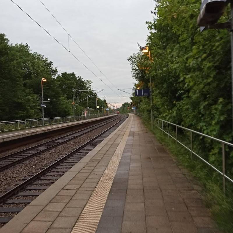 Ανεξέλεγκτη στάθμευση ή δωρεάν συγκοινωνία;