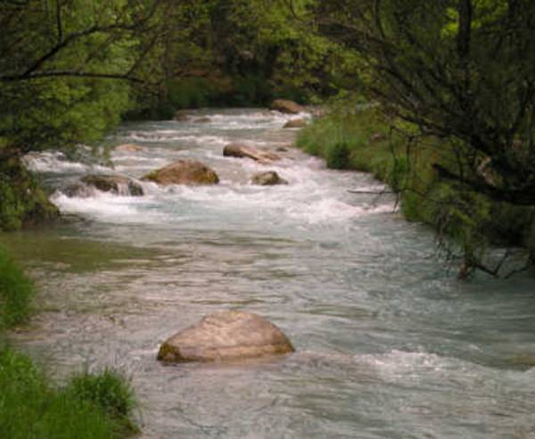 Νέο Δ.Σ. στο Σύλλογο Αρκάδων Ορειβατών
